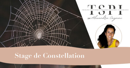 ANNULE ! TSPI – JOURNEE DE CONSTELLATIONS