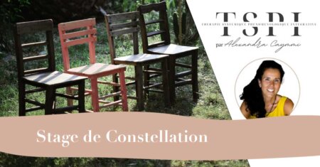 TSPI – STAGE DE CONSTELLATIONS