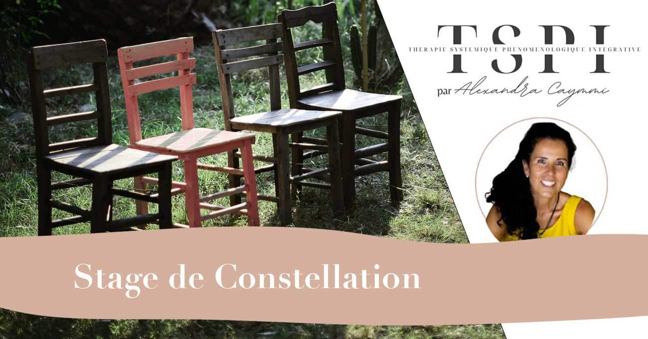 stage-constellations-individuelles-en-groupe