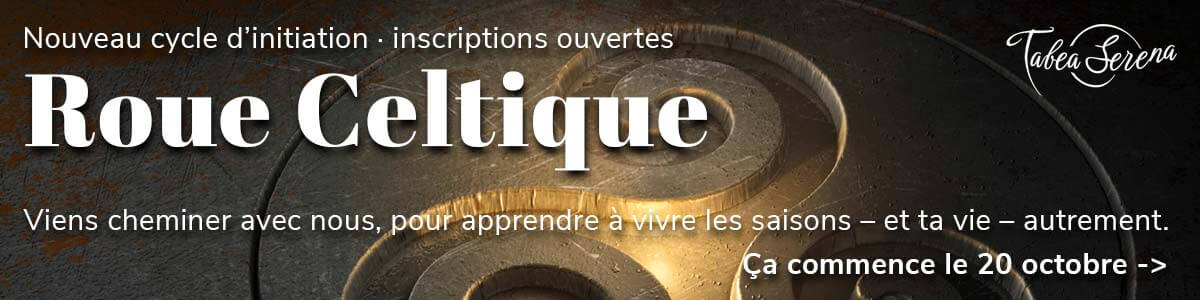 Cycle d'initiation à la Roue Celtique — inscriptions ouvertes, ça commence le 20 octobre 2026