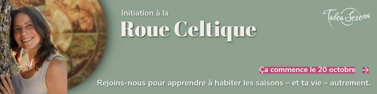 Cycle d'initiation à la Roue Celtique — inscriptions ouvertes, ça commence le 20 octobre 2026